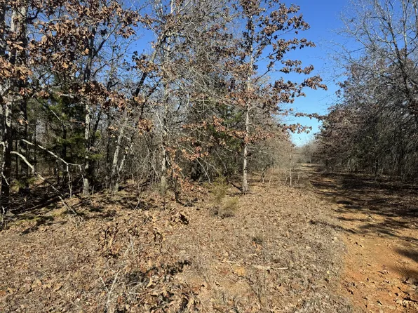 0 Centerwood St, Blossom, TX 75416