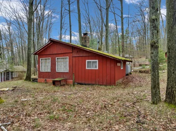 82 N Loon Lake Loop, Rose City, MI 48654