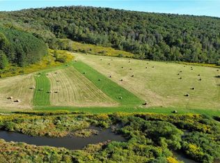 0 Payne Marsh Rd, Berkshire, NY 13736