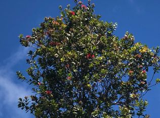 8 Road, Volcano, HI 96785