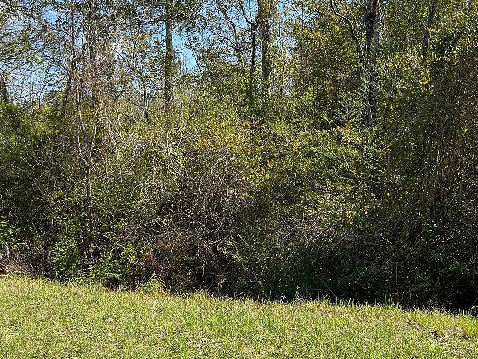 2nd image of White Star Rd