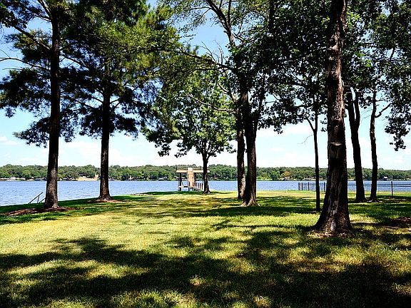 Huge backyard-kids & pets