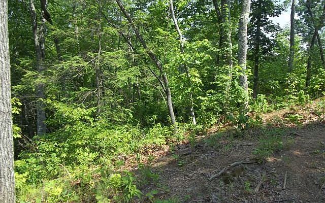 1st image of Joe Brown Hwy