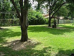Fully fenced large backyard.