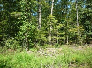 Warman Dr, Spring City, TN 37381