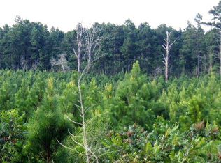 0 Lees Chapel Rd, Tylertown, MS 39667