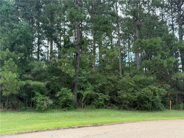 320 Beebalm Cir, Covington, LA 70435