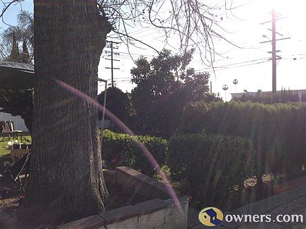 Front Property (Yard)