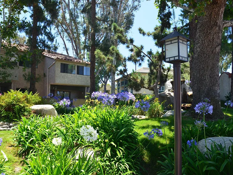 Luscious grounds