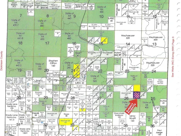 Off Cr Rd #557, Arnold, MI 49819