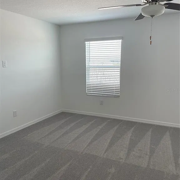 32077 Powderpuff Mimosa Dr — Photo 19