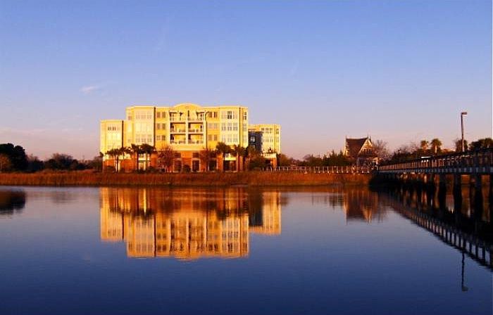 The Bristol