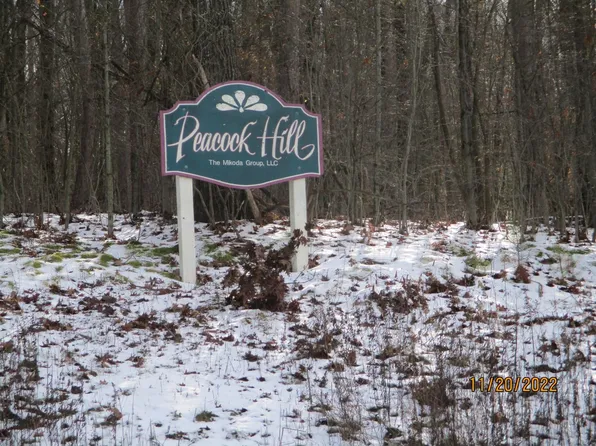 72 Dodd Rd Lot 7 & 8, Windsor, NY 13865