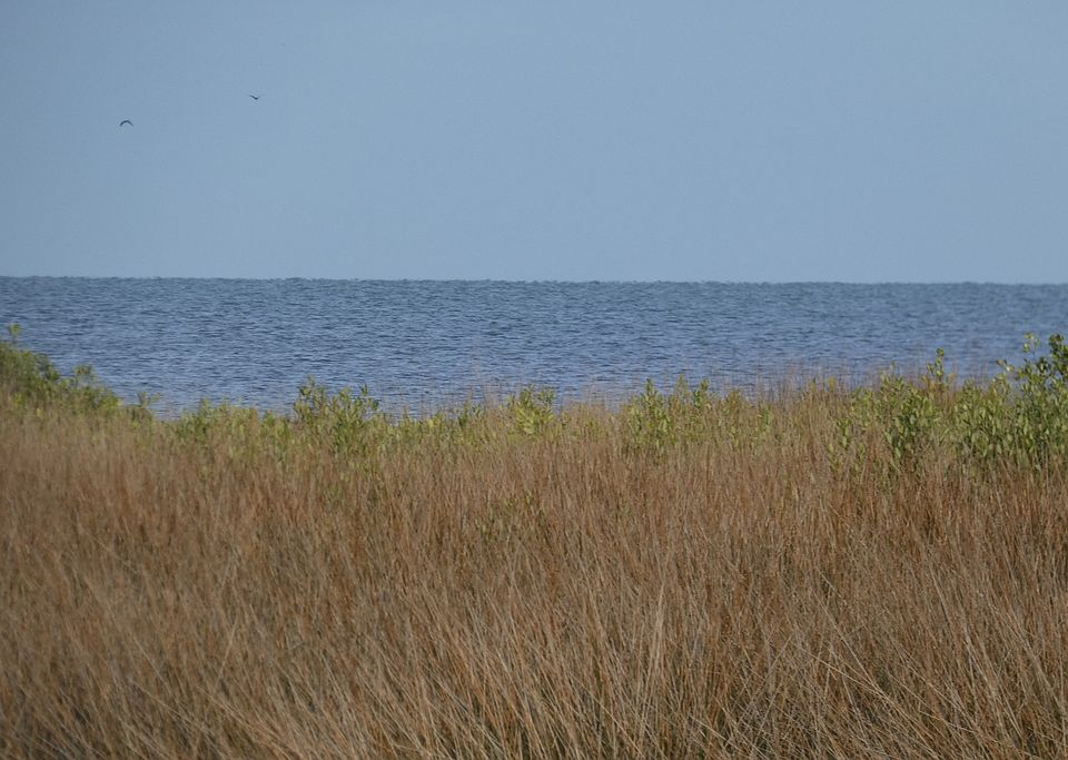 1st image of 6727 Driftwood Dr