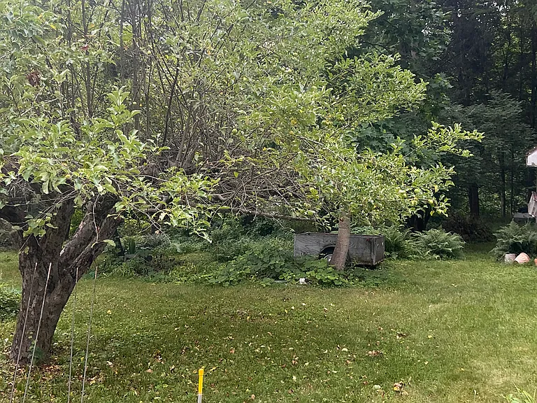 50 N Whitney St — Photo 15