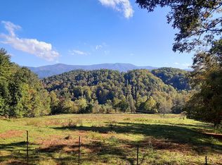 836 Hubert Haynes Rd, Flag Pond, TN 37657