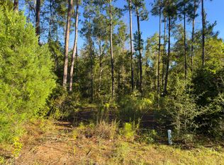 Canning Dr, Wewahitchka, FL 32465