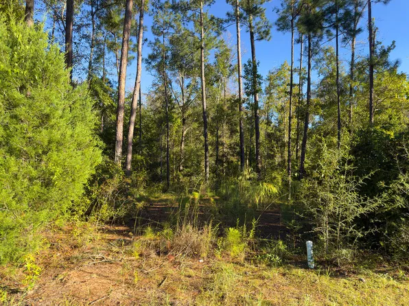Canning Dr, Wewahitchka, FL 32465