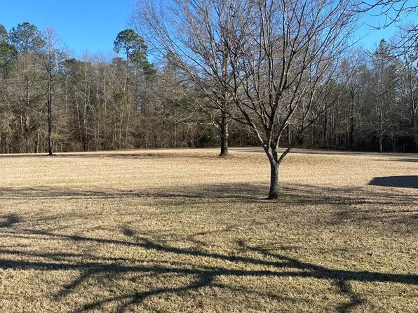 1360 Hut Rd, Box Springs, GA 31801