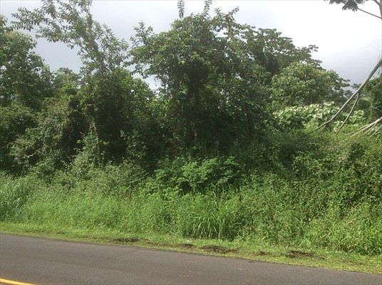 1st image of Leilani Ave Lot 19