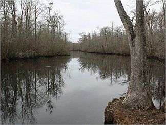 1st image of 343 Nc Highway 561 W