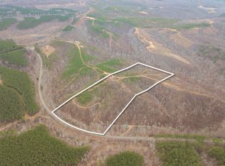 0 Sinking Creek Rd LOT 4, Linden, TN 37096