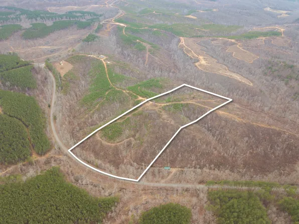 0 Sinking Creek Rd Lot 4, Linden, TN 37096
