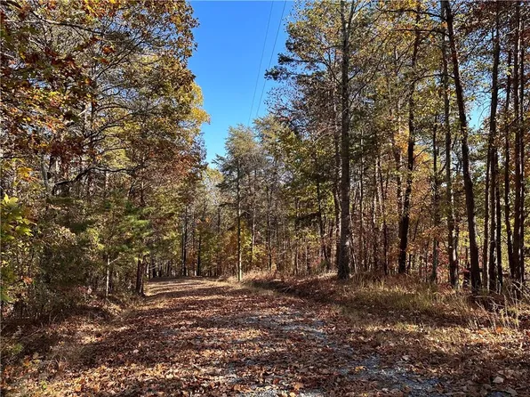 1334 Birch Ln #1334, Ranger, GA 30734