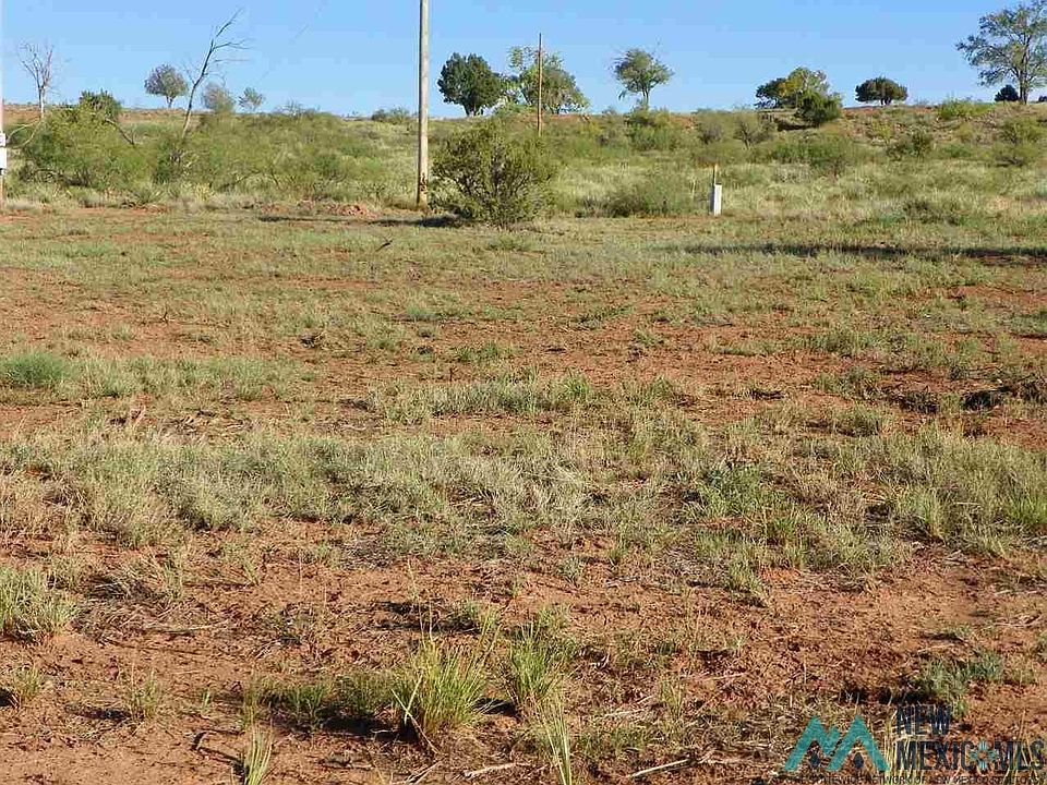 1st image of Cactus Rd