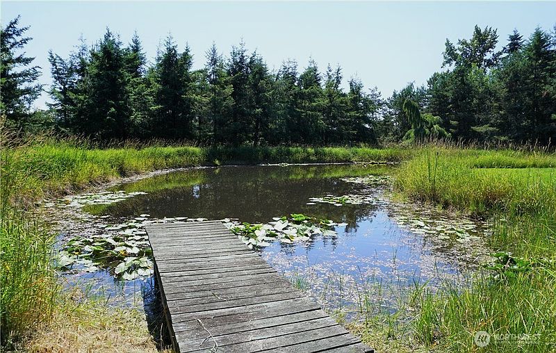 2nd image of 41019 Dean Kreger Road E
