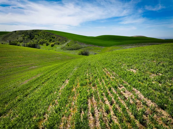 2818 Waggoner Rd, Walla Walla, WA 99362