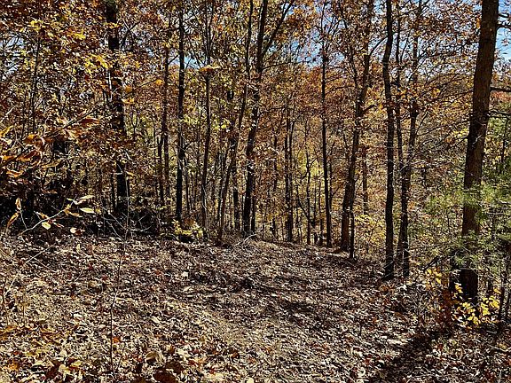 4th image of 0 Forrest Xing #36