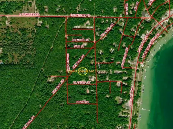 Vl Louella St, Topinabee, MI 49791