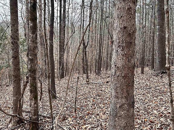 2nd image of 509 Crowe Creek Rd