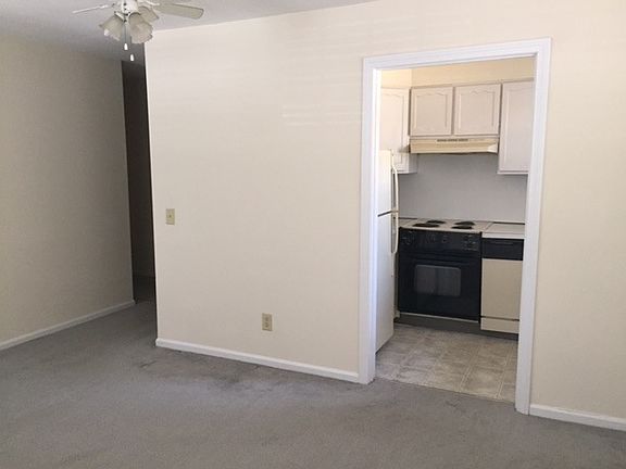 4th image of 725 Whitney Ave APT D1