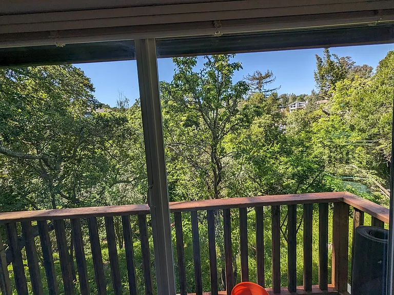 566 Live Oak Ln — Photo 11