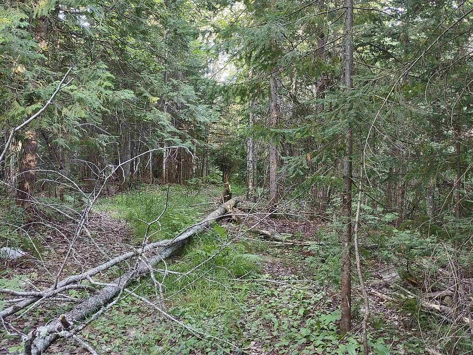 Tbd Tapiola Rd, Chassell, MI 49916 MLS 50087333 Zillow