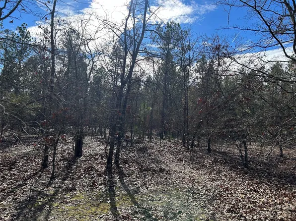 3117 Timrod Rd, Bethune, SC 29009