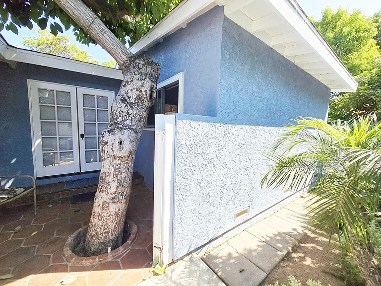 819 Hymettus Ave #BACK — Photo 11