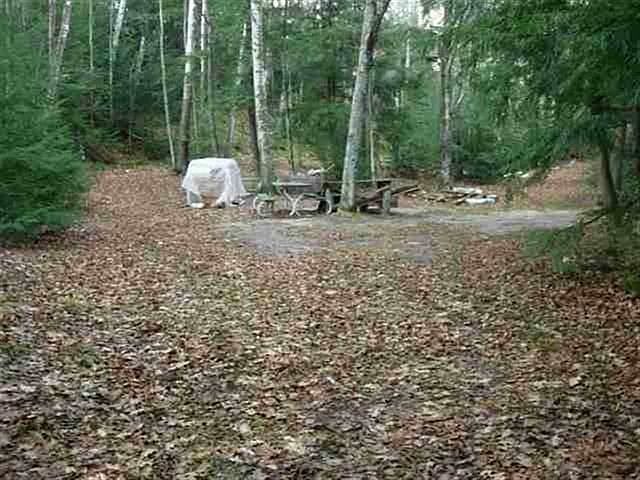 2nd image of 0 Bear Trail Rd
