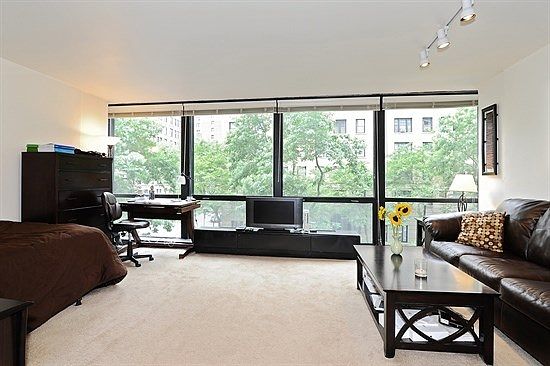 5th image of 900 N Lake Shore Dr APT 301