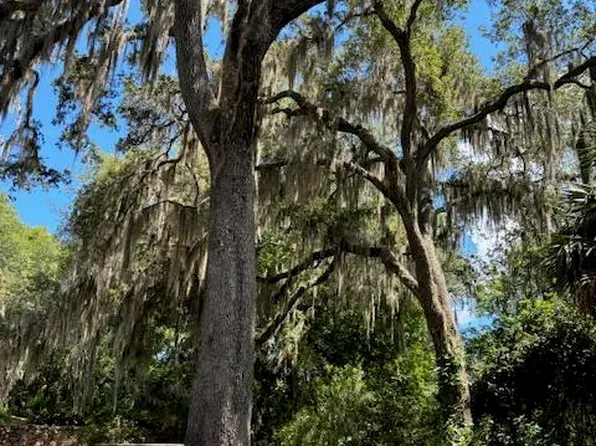 6340 BOLLING Lane, Elkton, FL 32033