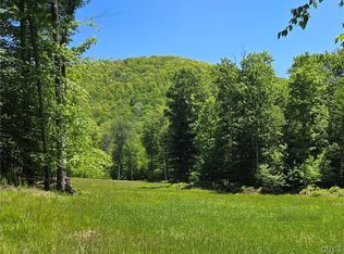 Lillibridge Rd, Olean, NY 14760