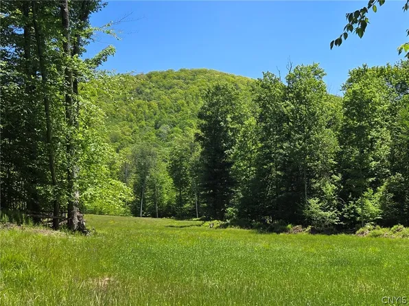 Lillibridge Rd, Olean, NY 14760