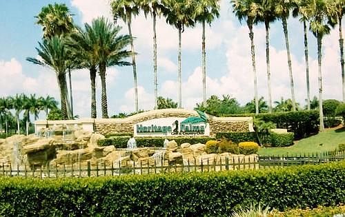 1st image of 10420 Washingtonia Palm Way