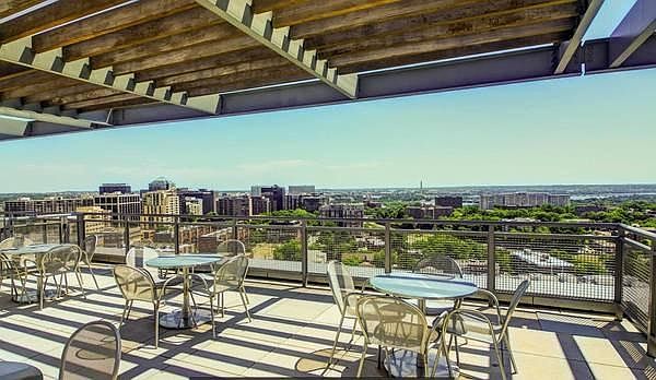Rooftop View