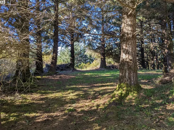 28650 N Buena Vis, Gold Beach, OR 97444
