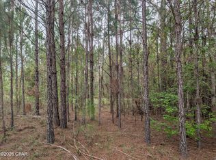 0 Sumac Rd Lot 49, Westville, FL 32464