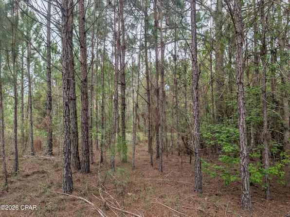 0 Sumac Rd Lot 49, Westville, FL 32464