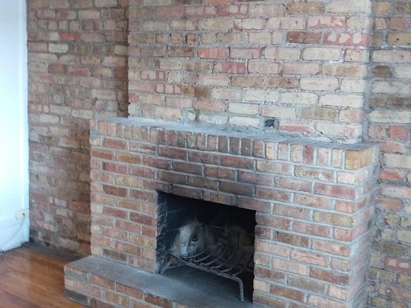 4th image of 934 W Newport Ave APT 1